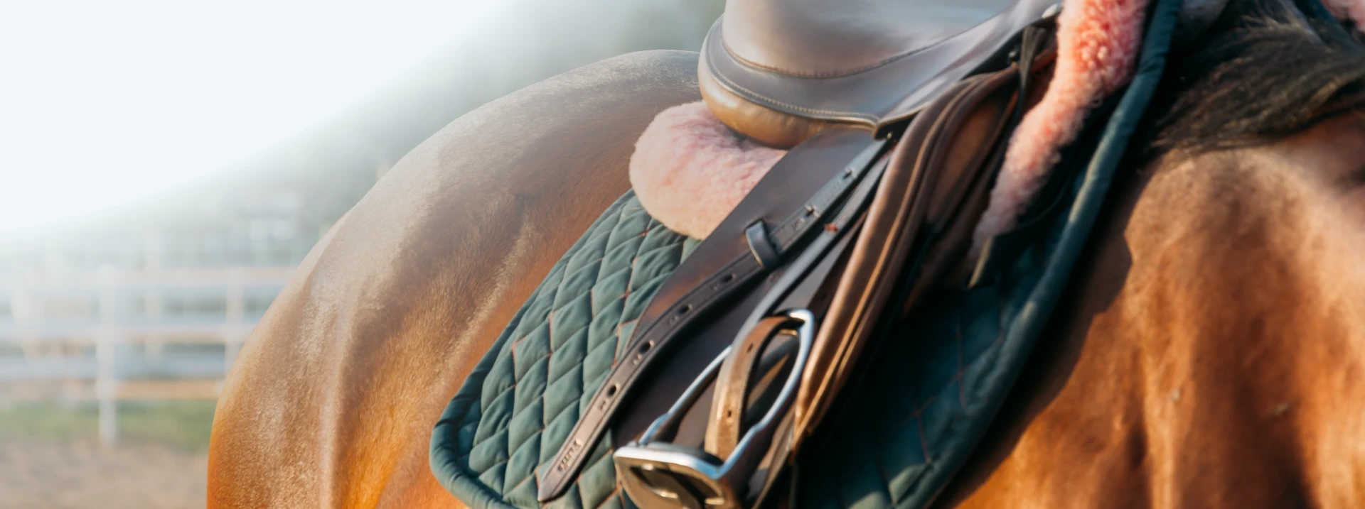 Close-up of a BOSS Equestrian saddle pad and stirrup on a bay horse