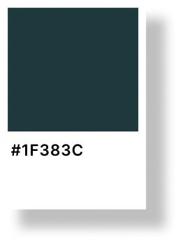 #1F383C