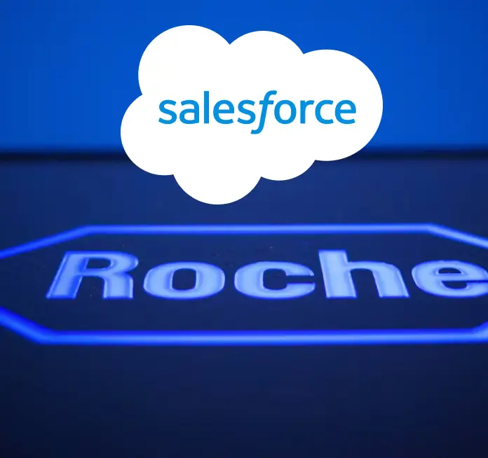 Roche project preview